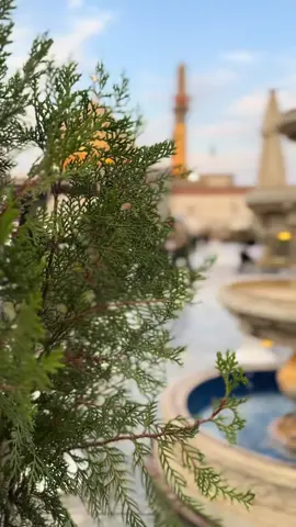 جمال المكان#سامراء_مدينه_الامامين_العسكريين #علي الهادي#سامراء_المقدسه #سامراء_المقدسة #صلاح_الدين #اكسبلور #اكسبلورexplore 