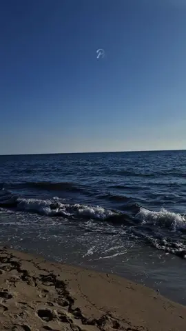 #renatozero #primavera2025 #mare #sole #figaro 