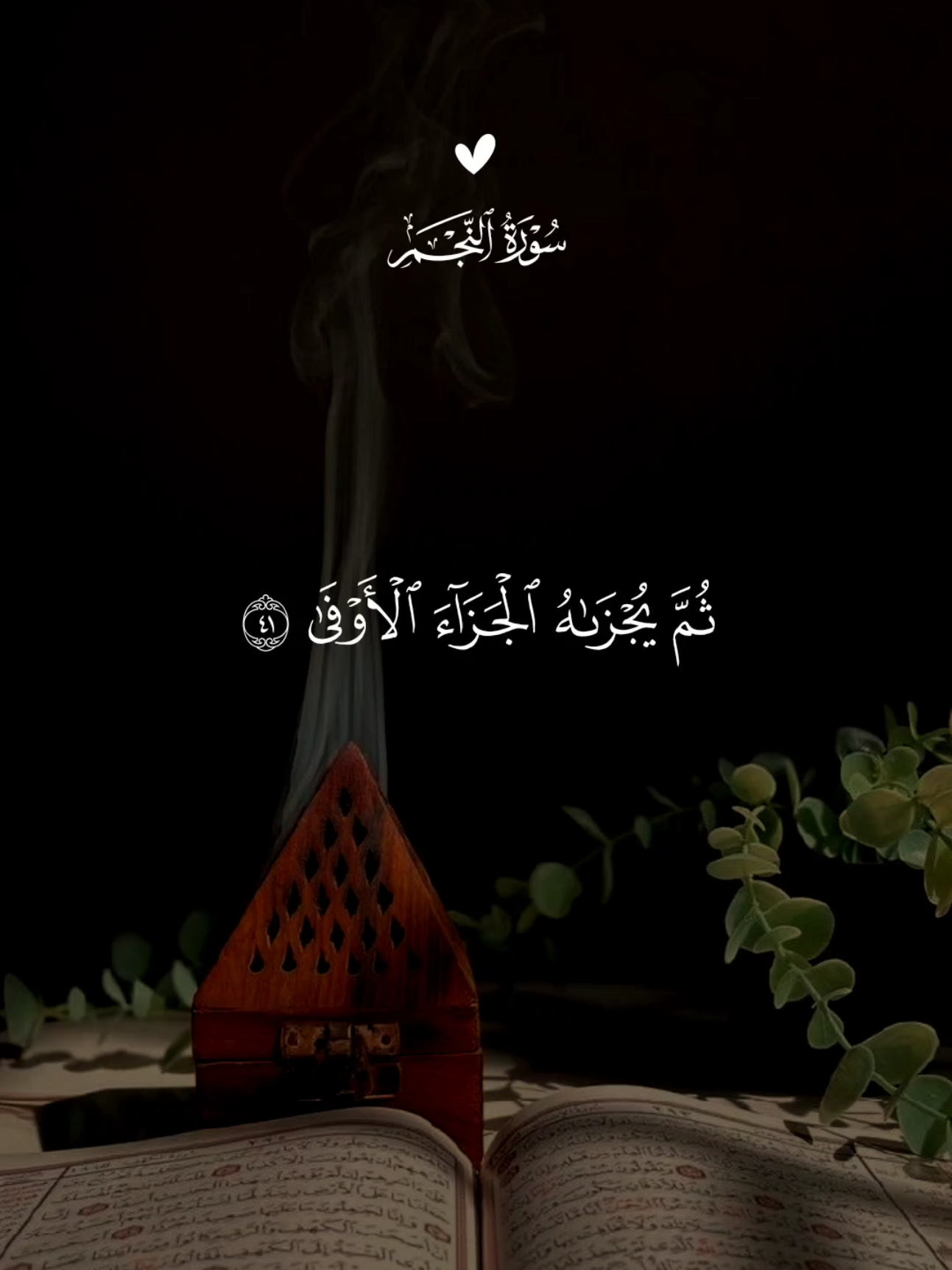 #quran #القرآن #quran_alkarim #القران_الكريم #qu_ran_n #qu_ran_n؛؛قرآن #quran_114st 