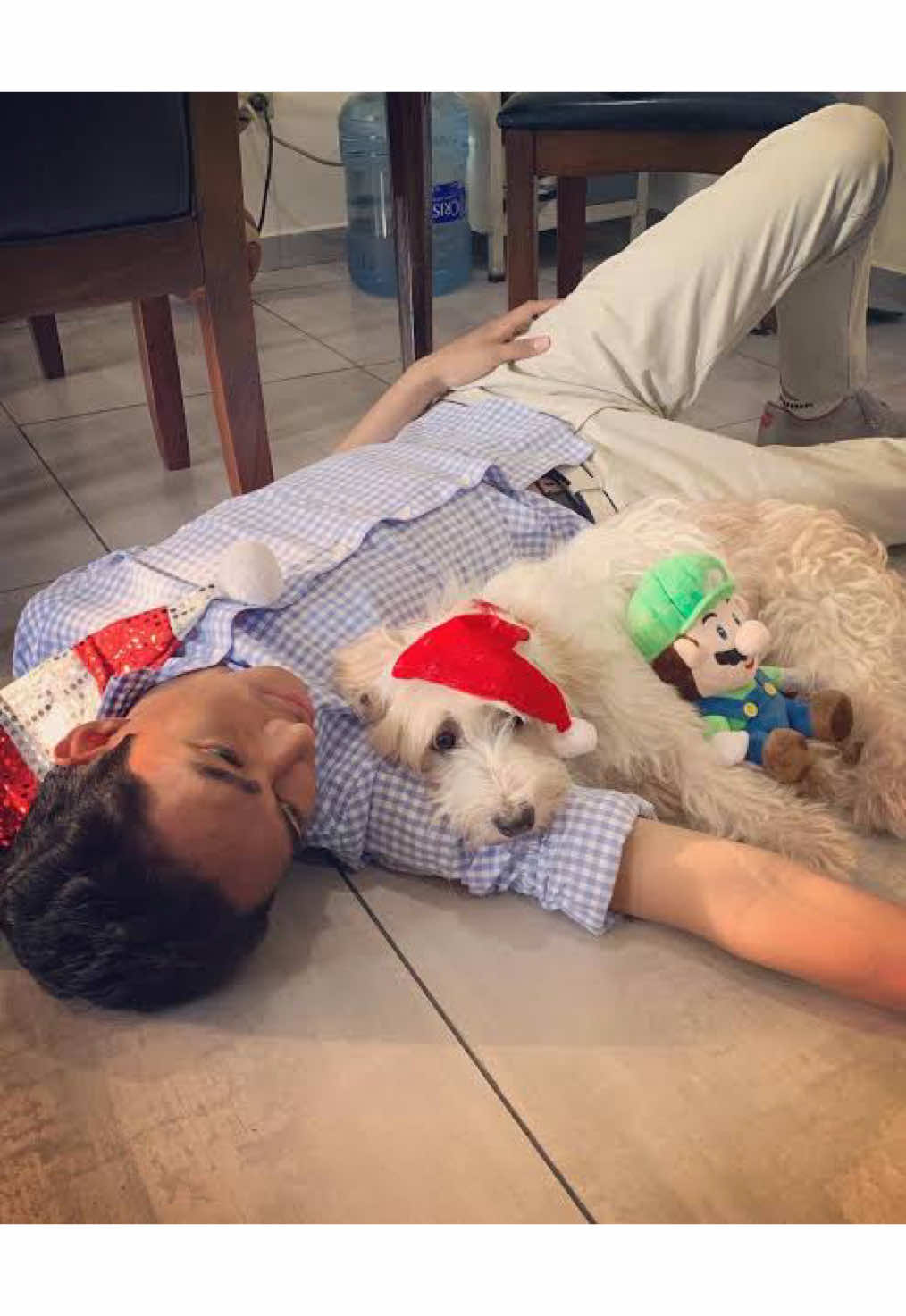 Vuela alto curly, nunca pensé que llegaría este momento, sabía que iba a llegar pero no tan pronto, te queremos mucho curly, siempre estarás en nuestros corazones, nos dejaste un gran recuerdo con fernan en cada uno de sus videos, descansa en paz 🕊️#fernanfloo #curly #rip #🕊️ #fyp 