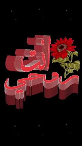 #أوقَات الخلافَات هي الإختبار الحقِيقي .. للحبِ أو الصداقةُ وكل العلاقات بينَ البشر                        #💚💚💚 