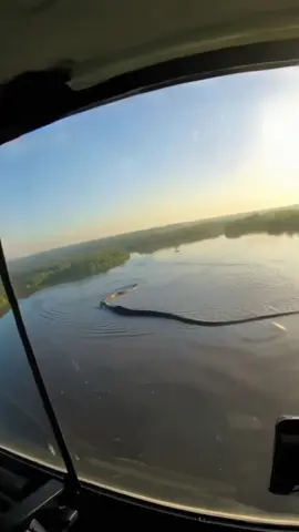 🐍🐍🐍 A Giant anaconda captured on the Amazon River #anaconda #amazonia #snake #animal 
