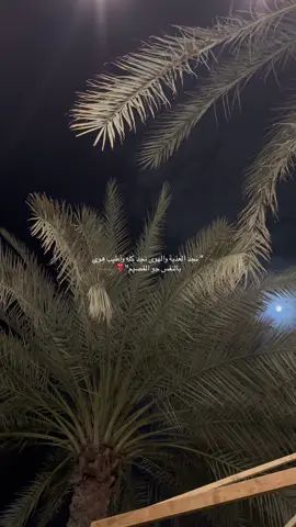 يانجد الاوطان ❣️🌴 #explore #riyadh #viral #القصيم #نجد #نجدالعذيه #viralvideo #القصيم #بريده #البدر #شعر #سريت_ليل_الهوى 