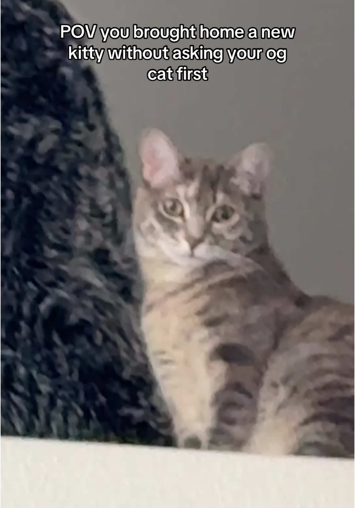 She is going to get me in my sleep