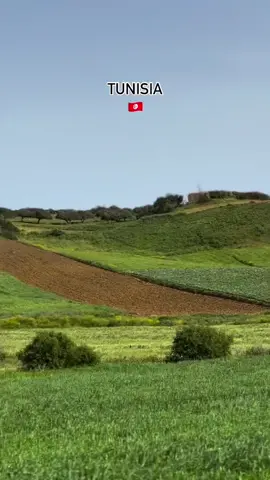 📍تونسنا الغالية🇹🇳✨🫶 @Raja_bel_kacem📹#beautétunisienne#tunisianculture#im_in_tunisia_and_ur_not#تونس_الخضراء#tunisie#visittunisia#cometotunisia#traveltunisia#discovertunisia#عرف_ببلادك  