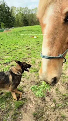 almost hereeee 🐴🧚‍♀️💌⛅️🤠 #mileystewart 