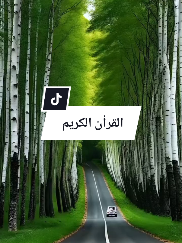 #القران_الكريم #تلاوةتخشع_لها_القلوب #قرأن_كريم_راحة_نفسية #اللهم_صلي_على_نبينا_محمد #ألابذكر_الله_تطمئن_القلوب 