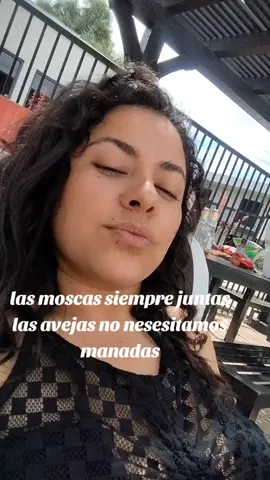 #phoenixaz 