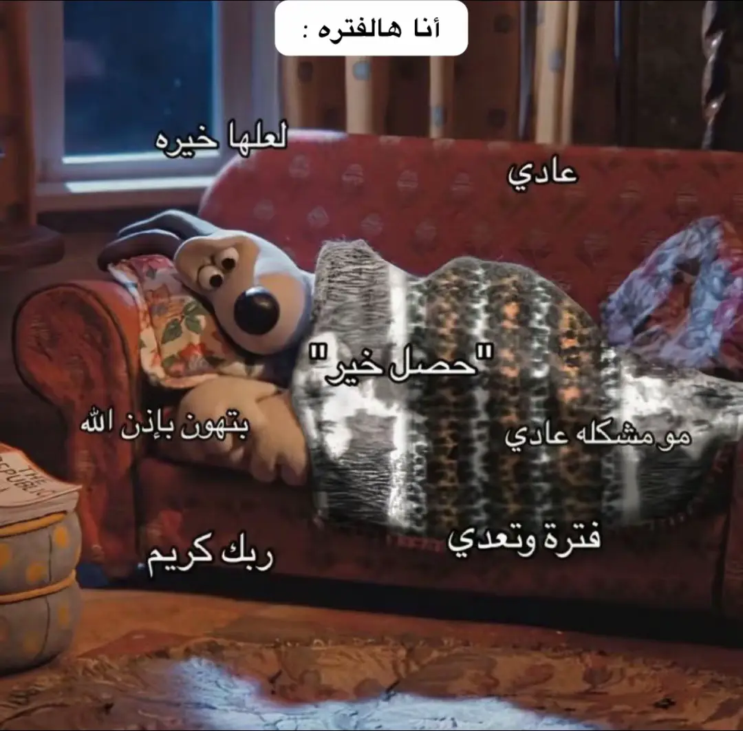 #اكسبلور 