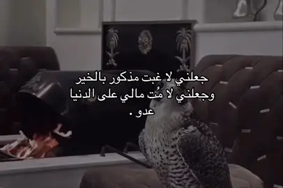 #اكسبلور #viral #fyp #f 
