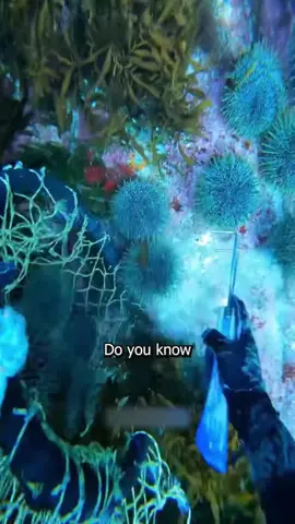 The fish gardener #AnimalFacts #animalvideos #animals 