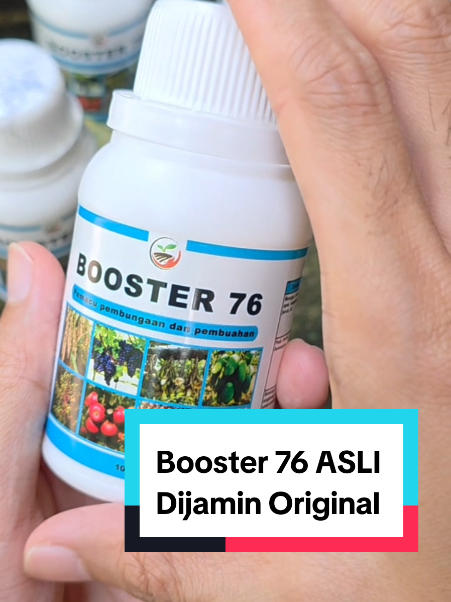 Membalas @makmur.koto pupuk booster 76 agar tanaman cepat berbuah lebat #pupuk #pupukcair #booster76 #pupukbuah #pupukpelebatbuah #booster76original #booster76asli 