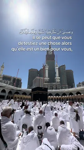 TAWAKUL  #fyp #foryou #pourtoi #mecque #mecca #peace #voyage #tawakkul #allah❤️ #islamic_video #muslim #paix #peaceful #mosquee #masjid #quran #verset #alhamdulillah #grateful #gratitude 