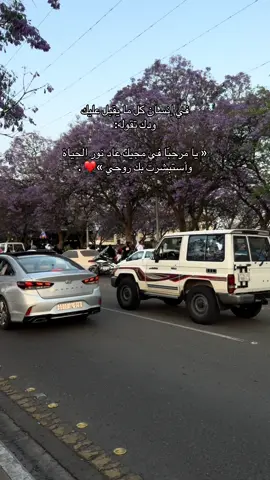 ويامرحباً بك جداً ✨✨❣️ #اكسبلورexplore_o🤭❤_تصويري 