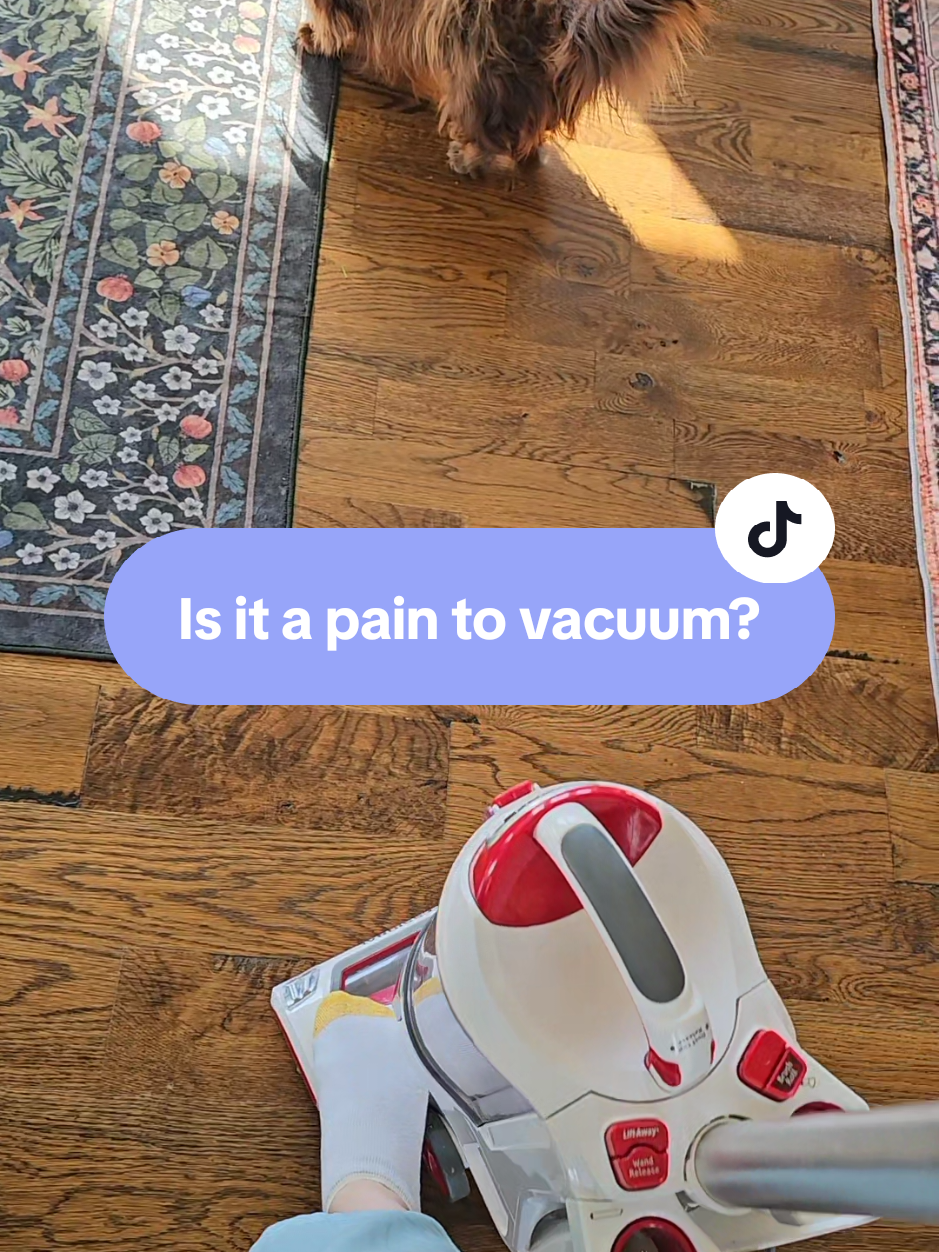 Replying to @kaisanchez5 Side by side with another washable rug vs the LaHome one. please excuse the plastic block rattle in the canister. 🤪 #bohodecor #bohostyle #washablerug #bohorug #arearug #homerefresh #interiordetails #summerhome #cozycorners #flooringinspo #rughack #easyclean #tiktokshopfinds #dreamhome #toptiermay 