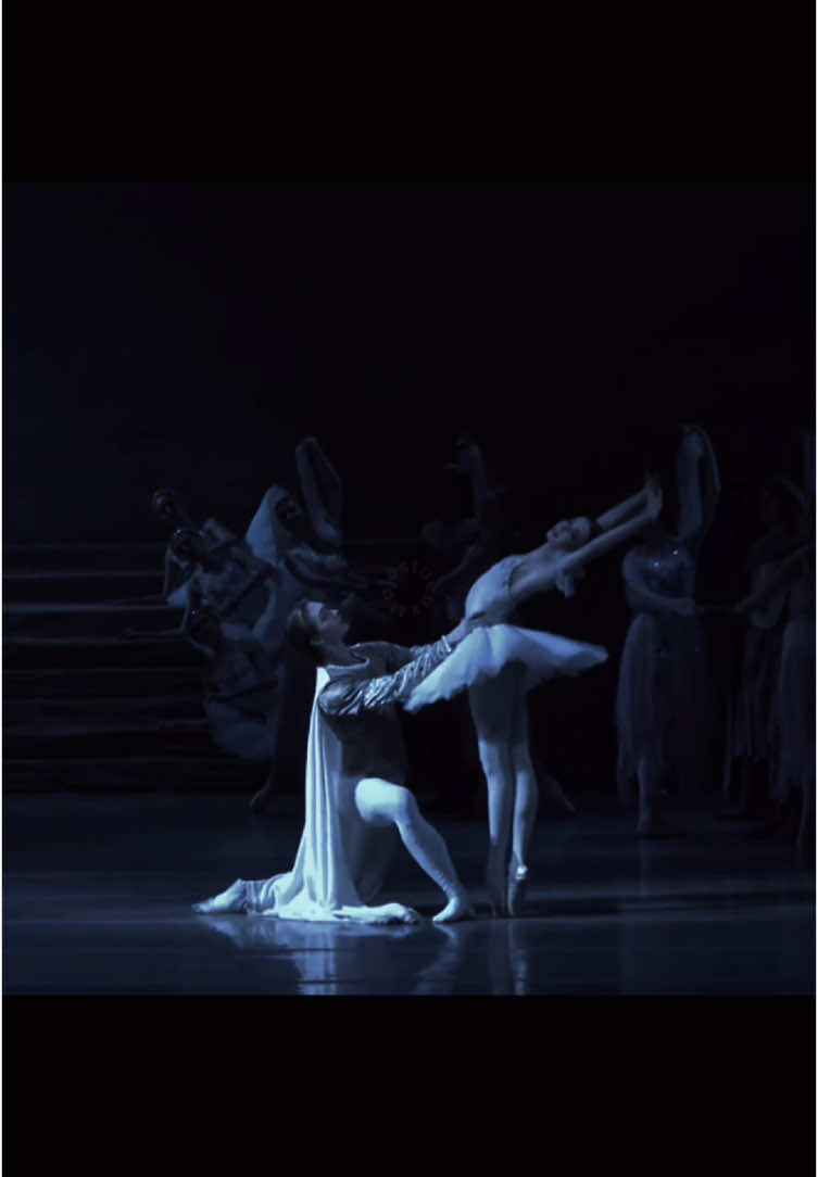 majestueux #ballet #ballerina #pasdedeux #balletcore #balletdancer #royalballet #swanlake #giselleballet #swanlakeballet #nutcracker #aesthetic #artistic #fypdong #foryou 