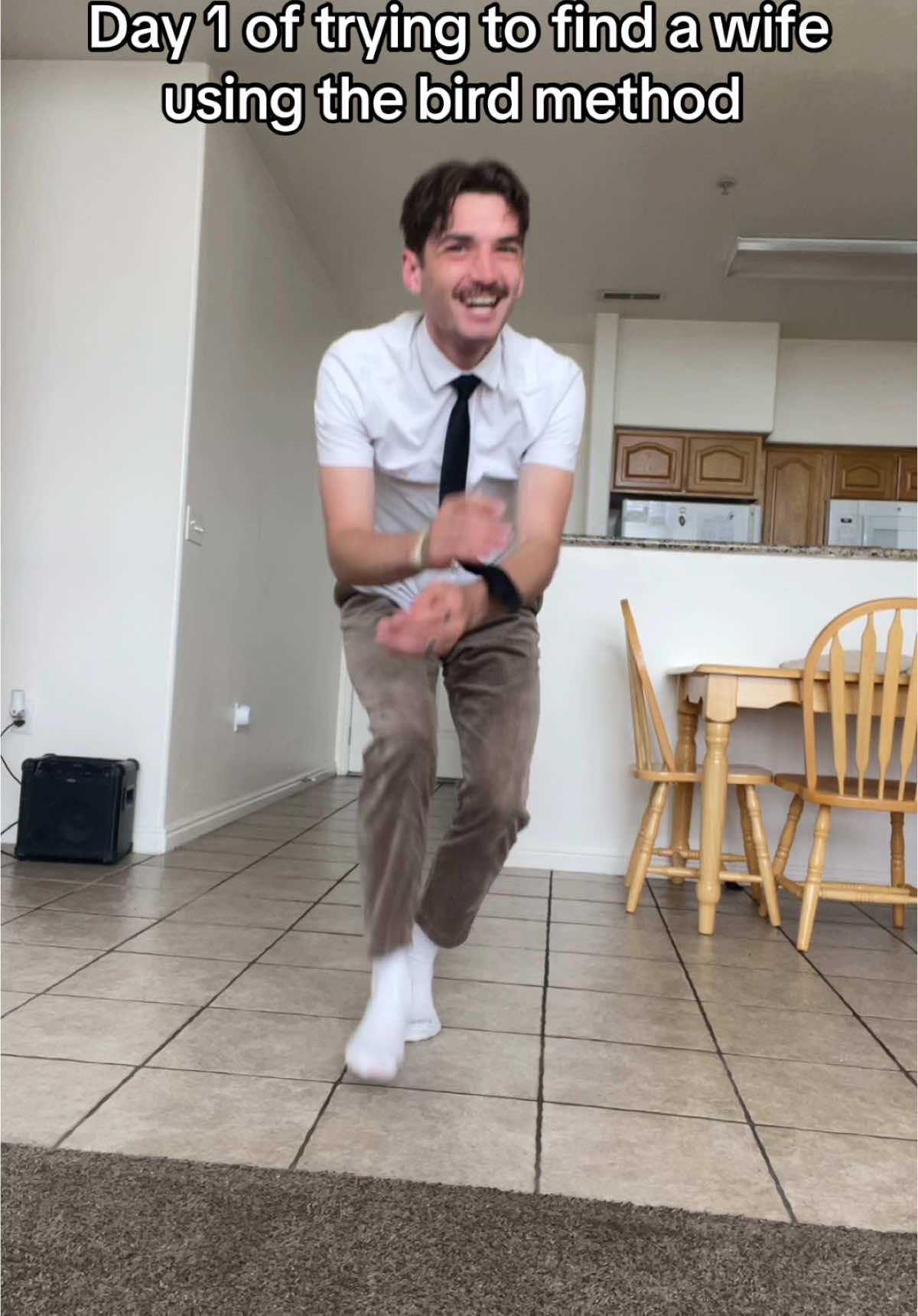 The dms are open 🤧#bird #wife #dance 