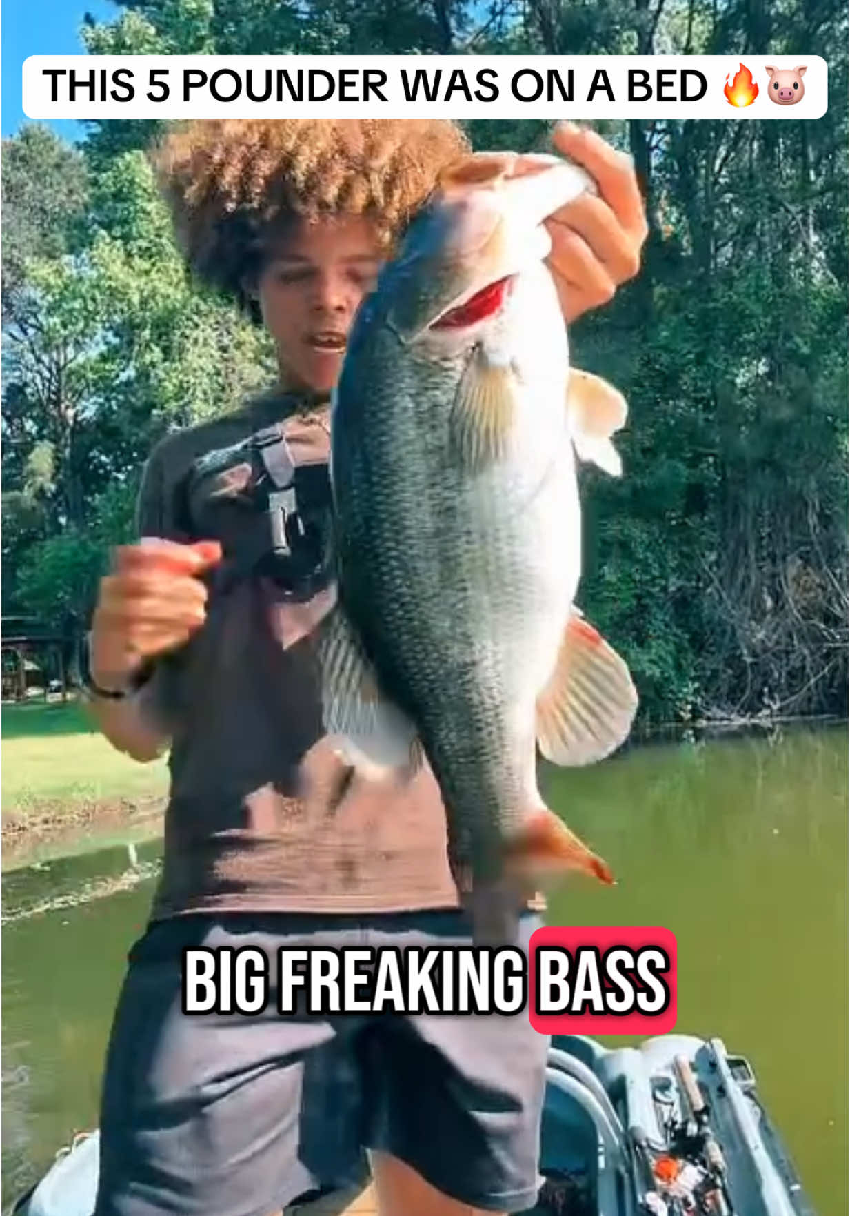 5 POUNDER ILL TAKE IT 🙏🏽🎣 #fyp #letemfly #fishing #bassfishing 