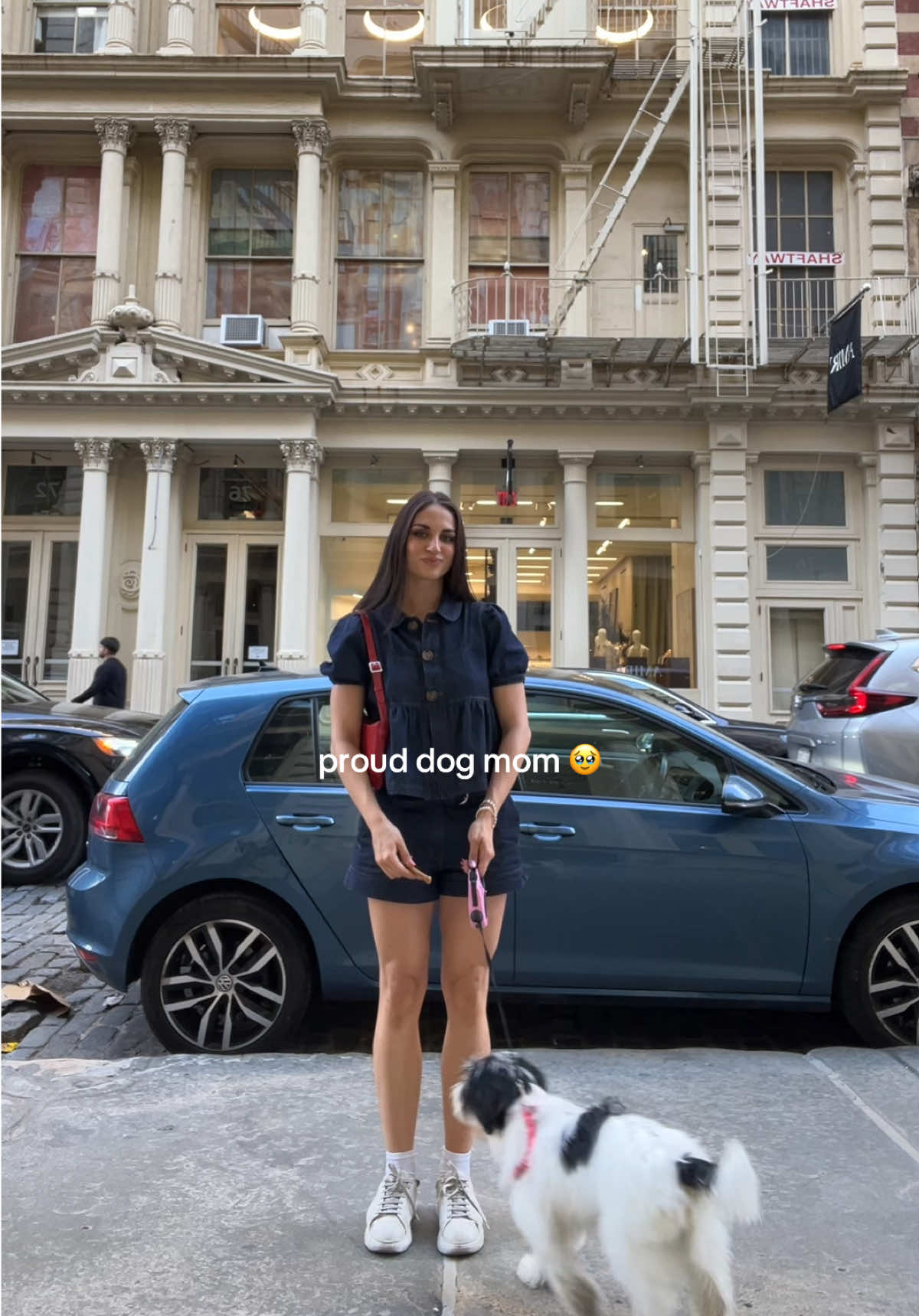 Meet Shayla 🥹🐾   