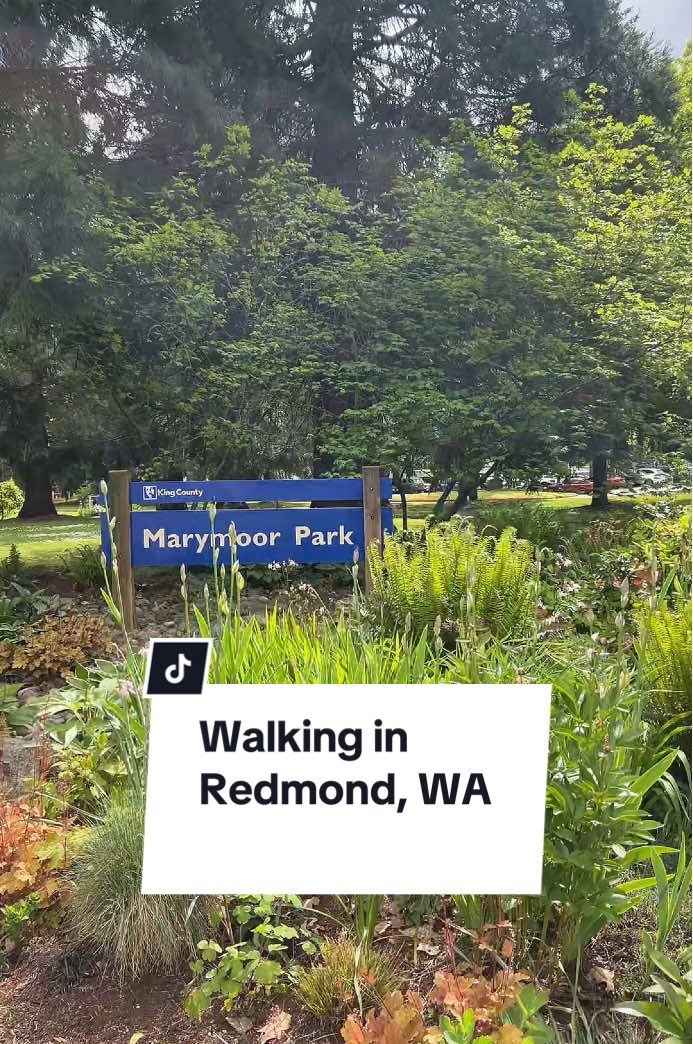 Quick Lunch Break Walk around Redmond. #seattle #pnw #pnwlife #walking #Fitness #healthy #weightloss #poundsofprogress #idontwannabefatnomo 