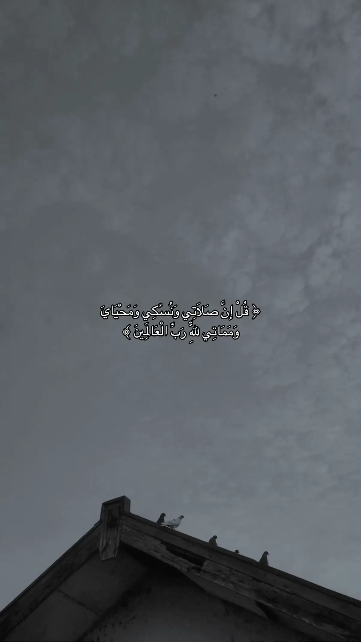 [ سورة الأنعام : آية 162 ]  #ماهرالمعيقلي #quran #قران 