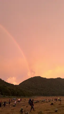 Gn. Gede tanggal 10 Mei 2025, Buka tenda viewnya Edelweis, gunung dan pelangi. Masya Allah setelah pendakian 8 Jam dikasih ke indahan alam yg begitu menakjubkan #gununggede #fyp #gedepangrango  