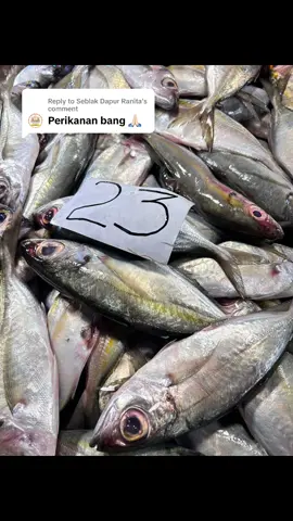 Replying to @Seblak Dapur Ranita perikanan hari ini 12/05/2025 di #pasarflamboyan #pasarpontianak #pontianakviral #pontianakkalimantanbarat #hargapasarflamboyan 