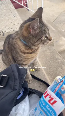 #cat 
