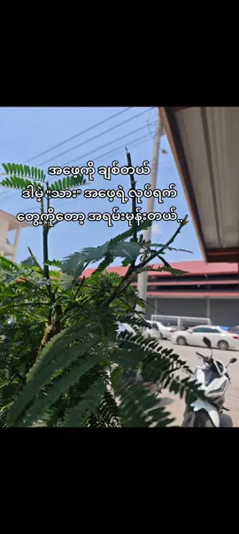 အဖေ့ကြောင့် 