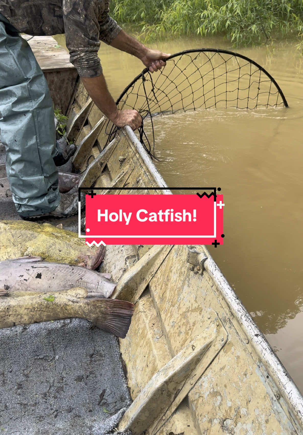 This fish got more likes than me on Tinder. #CatfishCatching #FlatheadCatfish #MonsterCatfish #HoopNetFishing #RiverMonsters #FishingLife #CatfishHunters #BigCatch #FishingGear #CatfishSeason #ViralFishing #FishingTok #TikTokOutdoors #CatchOfTheDay #FishingAddict #FishingHacks #OutdoorLife #NatureTok #gonefishing #fishinggoals #CatchItChallenge #HowBigWasIt #TikTokChallenge