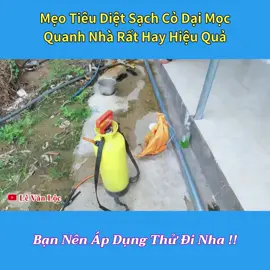Đây là cách diệt sạch cỏ dại mọc quanh nhà rất hay hiệu quả đó nha 🤩  #levanloc #thanhmeovn #meohay 