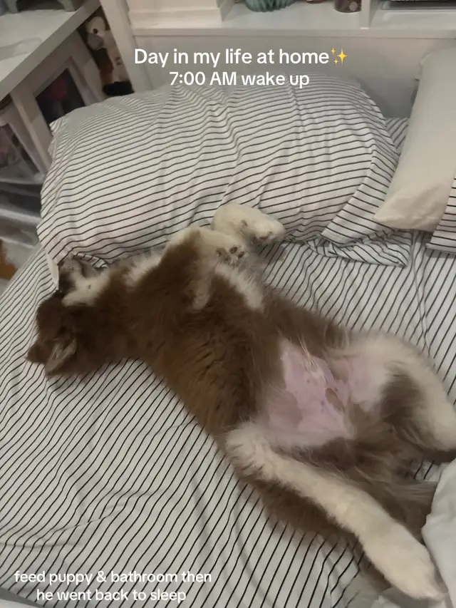 yesterdays day in my life i love being home. 