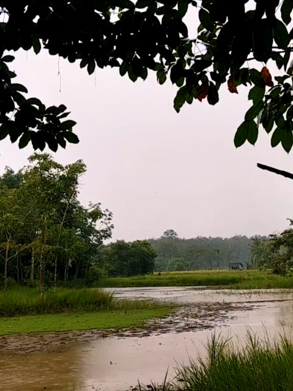 🌨️#fyp #fypdonggggggg #suasanapedesaan #suasanadikampung #nostalgia8090an #nostalgia90an #nostalgia #jamandulu #beranda #ceritaanakdesa 
