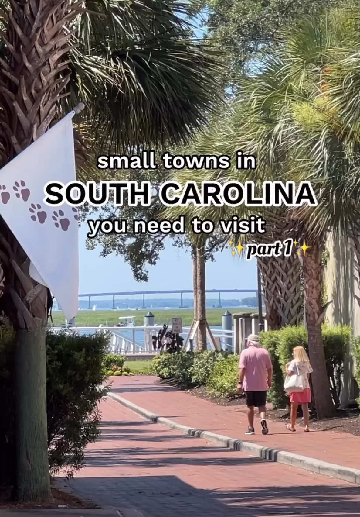 Small towns in South Carolina you need to visit: 📍Beaufort, SC 🌴🛥✨ Follow me for more NC & SC gems 💎  #southcarolina #843 #lowcountry #smalltowns #smalltown #travel #asheville #northcarolina #704 #ncmountains #blueridgeparkway #scbucketlist #visitnc #explore #visitsouthcarolina #scgems #usatravel