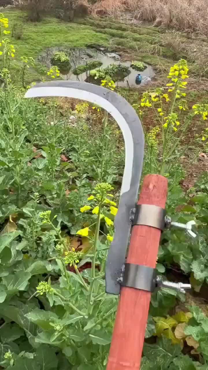 🔥Manganese Steel Multi-Purpose Knife: High-Altitude Pruning, Banana/Betel Nut Cutting & Grass Slicing – Tropical Gardening Must-Have! 💪