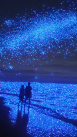 nights like these #couplegoals #edit #vfx #aesthetic #fypシ 