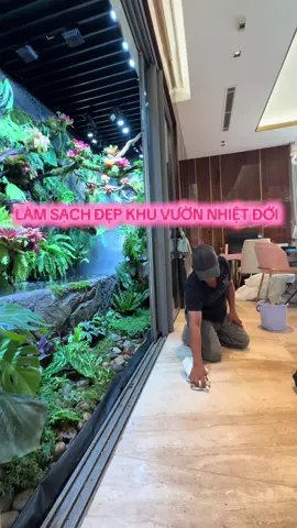 Hoàn thiện 98% Khu vườn nhiệt đới trồng cây nuôi cá suối thiên nhiên #paludarium #vuonnhietdoi #landscape #rainforest #caytrongnha #hokoidep #tropical #tieucanh #terrariums #nonbo 