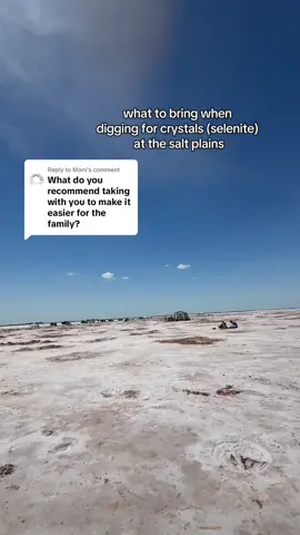 Replying to @Moni next time i’m going to bring an umbrella to keep us out of the sun! also someone mentioned grabbing the empty pesticide sprayer from walmart (filling it with water) and using it to clean off easier so i’m going to bring that too! @lucy cloud #lucycloud #crystals #oklahoma #mothersday #jetoklahoma #saltplains #saltplainsoklahoma #momx3 #sahm 