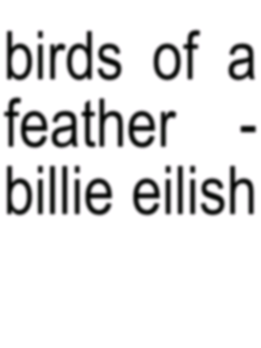 birds of a feather - billie eilish vietsub#lyrics 