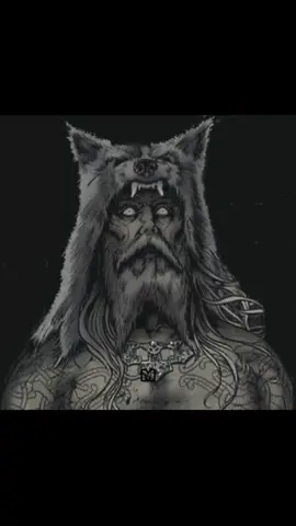 The Úlfhéðnar were elite Viking warriors, often depicted as berserkers associated with wolves, known for their fierce combat abilities and connection to the spirit of the wolf. They are sometimes described as Odin's special warriors, and were thought to wear wolf pelts instead of bear pelts. The Úlfhéðnar were shrouded in mystery. Mentioned in sagas such as the Vatnsdæla saga, Haraldskvæði, and Grettis saga, the Úlfhéðnar were considered to be a step above the well-known berserkers. These fierce warriors wore wolf skins over their chainmail and fought with a trance-like fury, as if possessed by the spirit of the wolves they revered. The Úlfhéðnar were known to be immune to fire and iron, and their mere presence on the battlefield struck fear into the hearts of their enemies. In the Vatnsdæla saga, the Úlfhéðnar are described as an elite group of fighters who guarded the bow of King Harald Fairhair's ship. The Haraldskvæði, a skaldic poem praising Harald Fairhair, portrays them as 