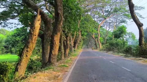 কি করে করব বসবাস... 😅❤️‍🩹 #foryou #viral #fyp #foryoupage #tiktokofficialbangladesh 