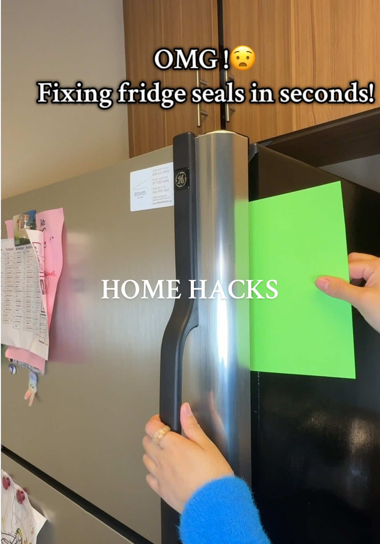 Struggling with your fridge door seals? Use a blow dryer to fix it quickly! #LifeHack #FridgeRepair#KitchenHacks#thealiguid