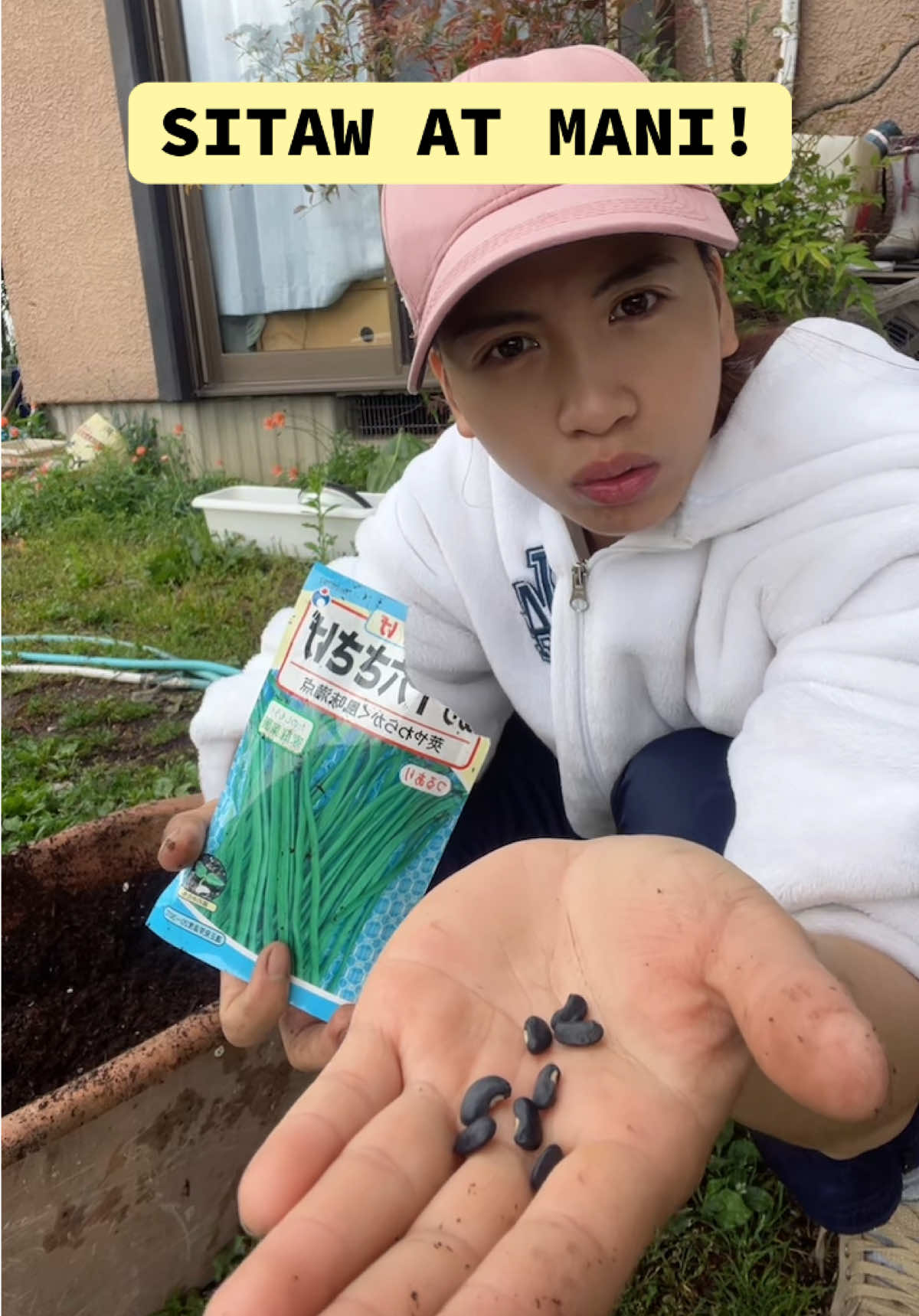 SITAW AT MANI #fypシ゚  #roseokouchi  #happylife  #fyp  #simplengbuhay  #minivlogjapan  #gardening  #sitaw  #mani  #peanut 