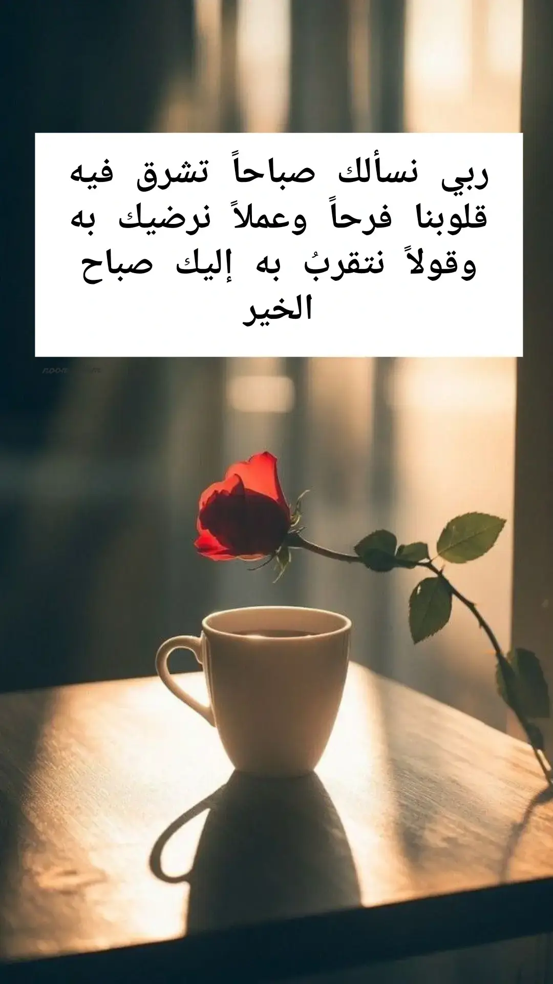 #عبارات_جميلة_وقويه😉🖤  #عباراتكم_الفخمه📿📌  #اقتباسات_عبارات_خواطر  #خواطر_للعقول_الراقية  #ستوريات_متنوعه  #خواطر_من_القلب  #لك  #موسيقى 