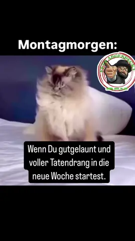 fpy> #jackimit3i #teamwork #Daniel_back_to_life #10k #funnyvideos #funnyvideo #funnyvideos #frau #frauen #mann #männer #arbeit #arbeiten #kollegen #müllabfuhr #müllmann #arbeitskollegen #gutenmorgen #goodmorning #deutschland #funny #fun #tiktokviralgehen #viraltiktok #tiktok #spaß #fyp #foryou #foryoupage #follower #tik_tok #viralvideo #viral #tiktokdeutschland 
