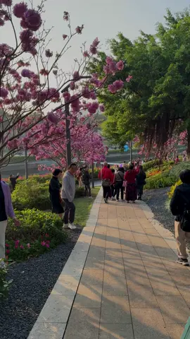 #foryou #fyp #life #cupcut #اكسبلور #explore #اكسبلورexplore 