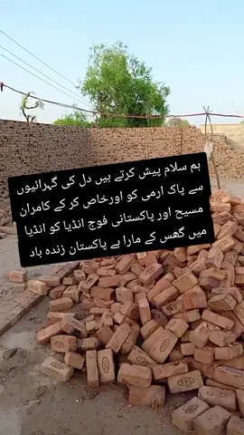 #creatorsearchinsights #viraltiktok #viraltiktok #viralvideo #foryou #پلیز #ویرل_وڈیو سنگت ویڈیو وائرل کر 