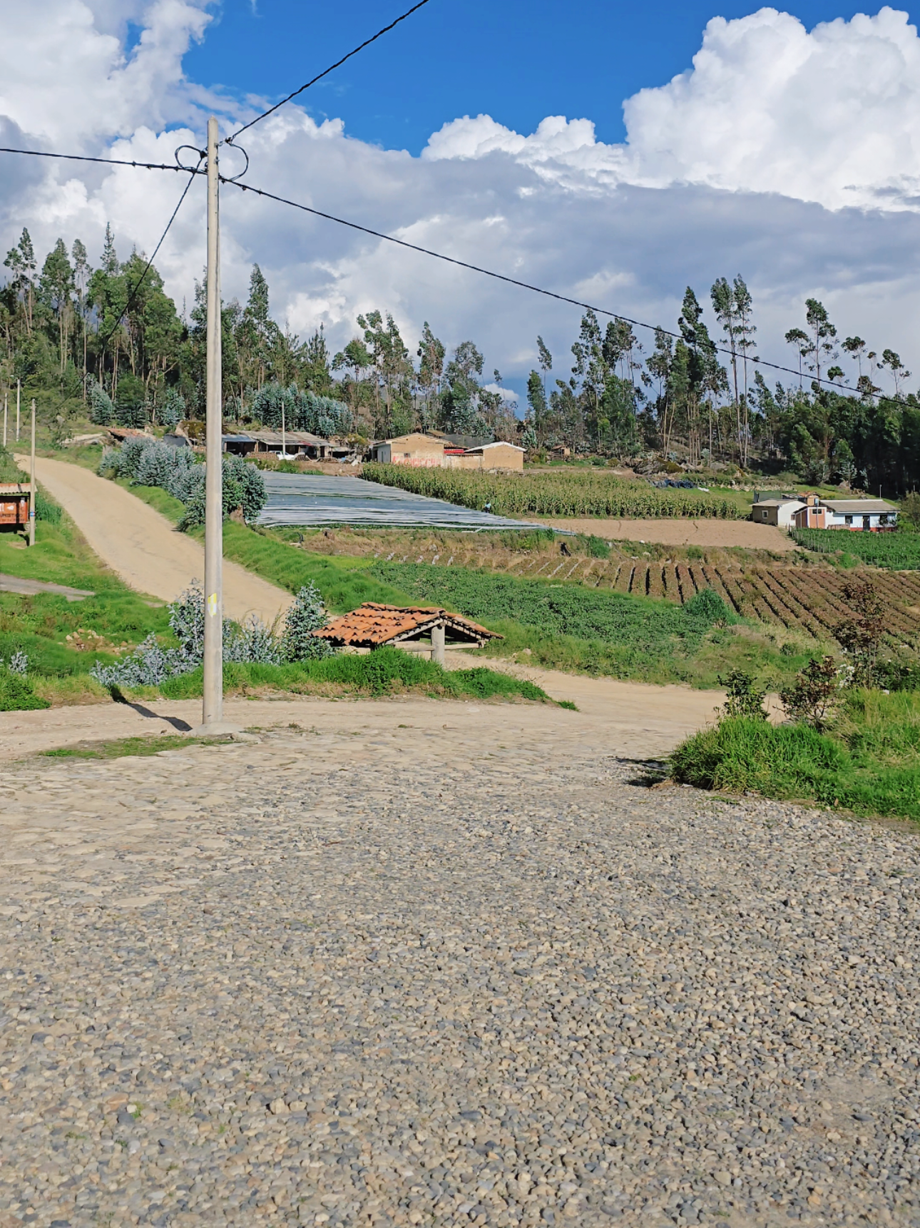 #campo #paisajes_hermosos #ancash 