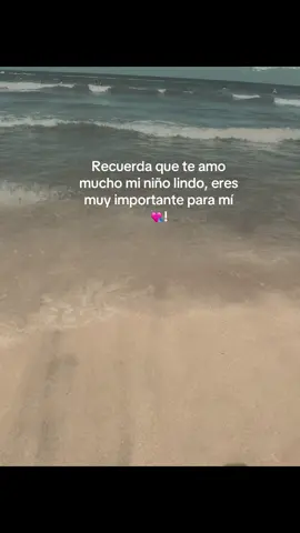 @🗽 eres mi niño lindo y muy importante para mi 🫶🏼💕#noflop #haganmefamosa #nomedejenenflop #pinchitiktokponmeenparati 