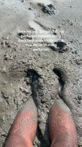 #fyp #videoviral #jawapride #petanimuda #petaniindonesia🇮🇩🇮🇩🇮🇩🌿🌿 #petanimilenial #petanisukses #petanimilenial #vibessawah #fyppppppppppppppppppppppp 